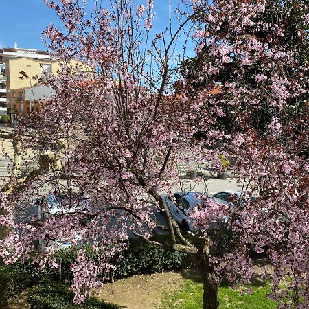 Apartamento Dacosta Plasencia Luaran gambar