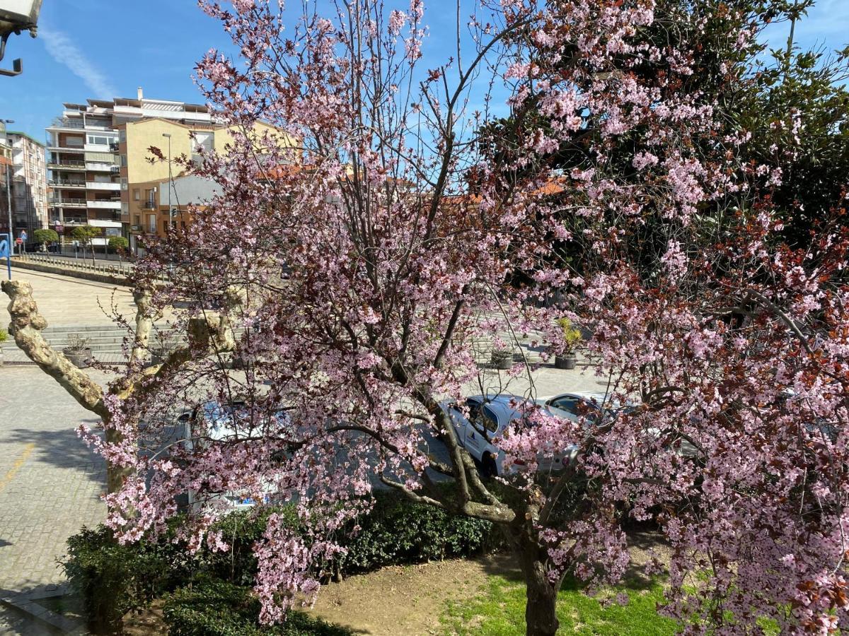 Apartamento Dacosta Plasencia Luaran gambar